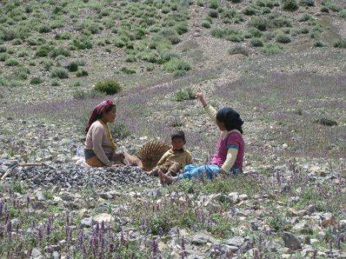 TREKKING IN MUSTANG 2010